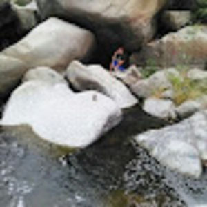 Meet your Posher, Sidney